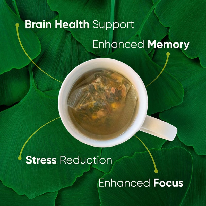 Brain Tea Focus & Memory - Brain Tea Organic Certified 4-in-1 Nootropic Herbal Supplement with Ginkgo Biloba, Gotu Kola, Lion’s Mane Mushroom, MCT Caffeine-Free for Mental Clarity (30 Sachets) - Image 2