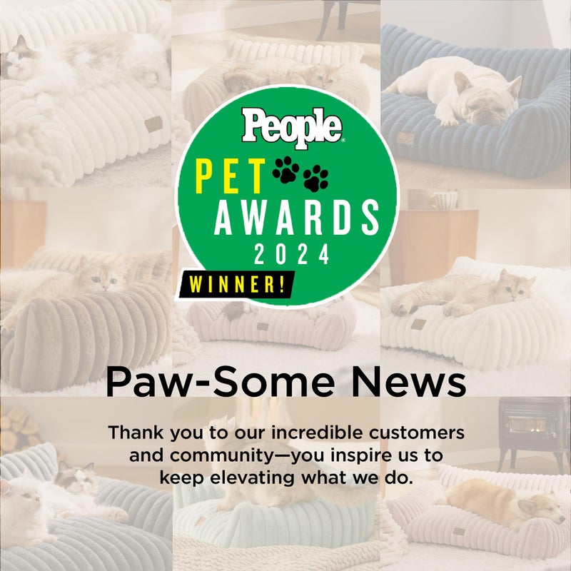 Bedsure Cute Cat Couch for Pets - Fluffy Cat beds with Premium Soft Corduroy Fleece, Fuzzy Cats beds for Indoor Cats with Removable Washable Cover, Supportive Pet Sofa, 24inch, Cream - Image 3