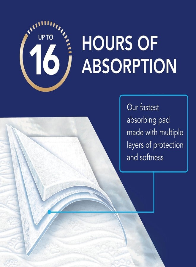 سكوت وسادات سكوت بيت جارد المتطورة لتدريب الكلاب - وسادات تدريب التبول للجراء والكلاب المتوسطة والكبيرة - امتصاص يصل إلى 16 ساعة مع التحكم في الرائحة - وسادات تدريب التبول المبطنة الأكثر نعومة - مقاس كبير جدًا - 30 بوصة × 36 بوصة - عبوة من 20 قطعة - Image 3