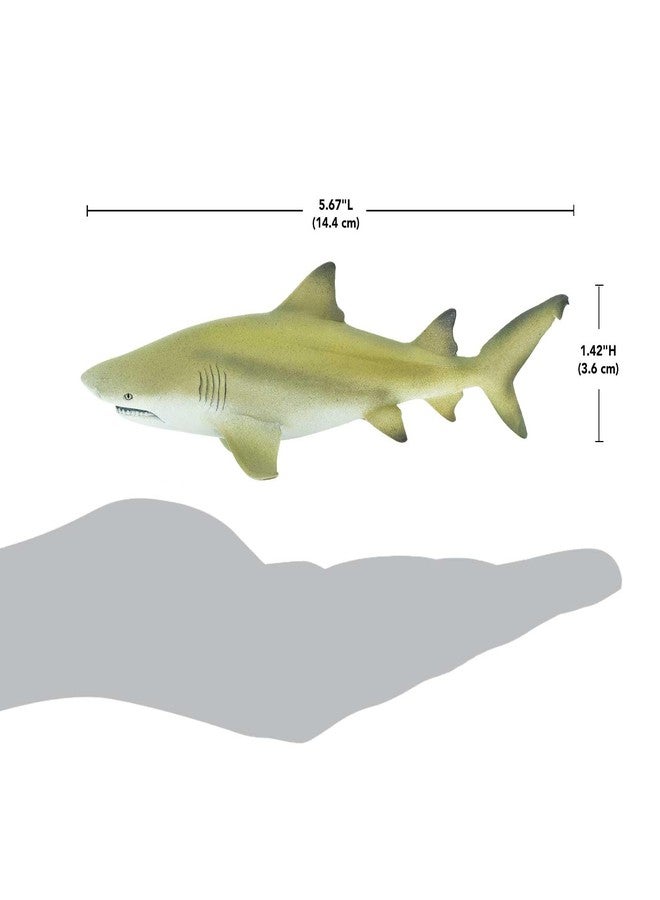 Safari Ltd. Lemon Shark Figurine- Realistic 5.75" PlasticFigure - Educational Toy for Boys, Girls and Kids Ages 3+ - Image 3