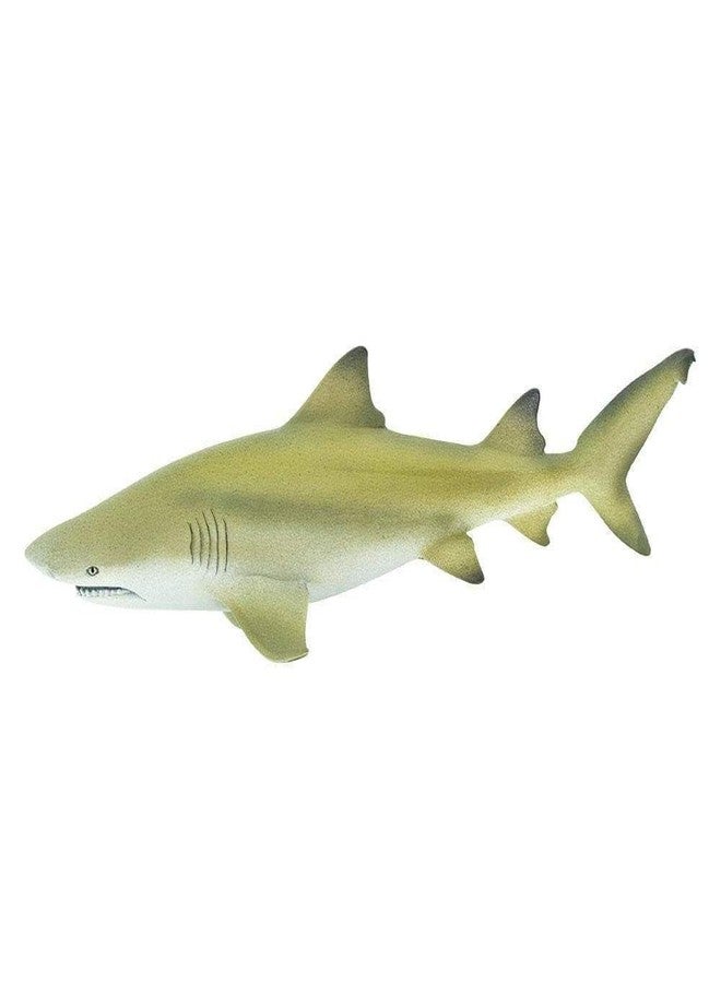 Safari Ltd. Lemon Shark Figurine- Realistic 5.75" PlasticFigure - Educational Toy for Boys, Girls and Kids Ages 3+ - Image 2