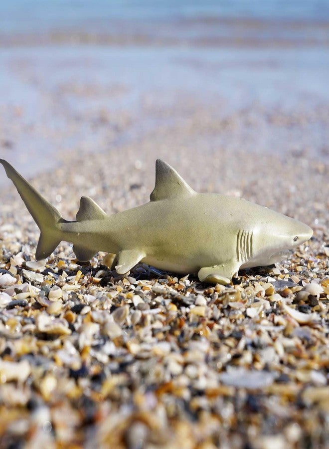 Safari Ltd. Lemon Shark Figurine- Realistic 5.75" PlasticFigure - Educational Toy for Boys, Girls and Kids Ages 3+ - Image 4