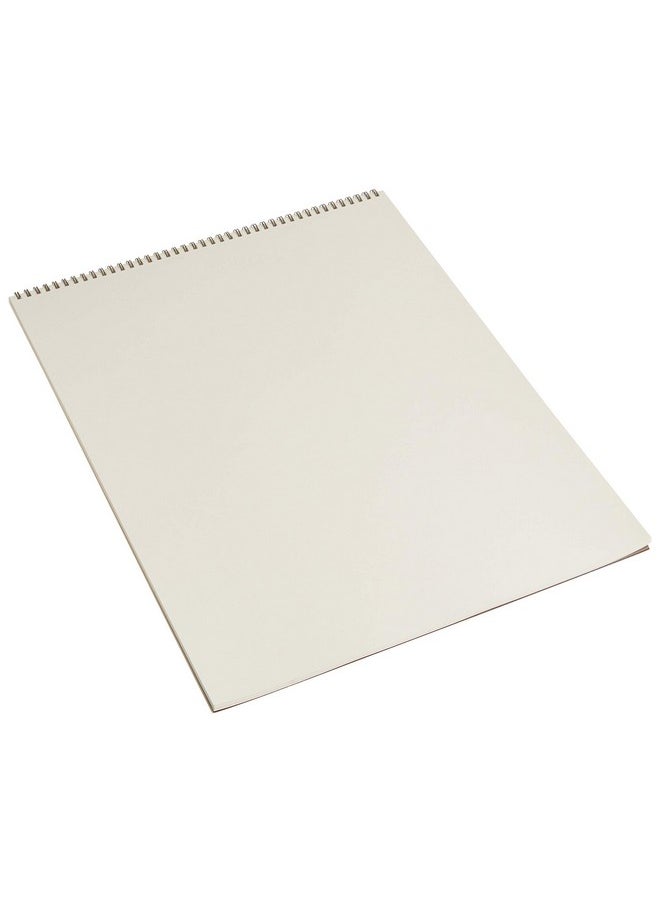 ستراث مور ستراثمور (لوحة رسم سلسلة 400-7، 14 بوصة × 17 بوصة)، عاجي/كريمي  - Image 3