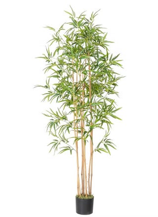 Artificial Bamboo Tree, Faux Bamboo Plant, Real Touch Technology, Artificial Plant with 7 Trunks, Ideal for Home Office Indoor Decoration - pzsku/ZDA24A569E907E1414D9AZ/45/_/1730699037/34b73265-95d6-419b-8b7c-a2403e375a62