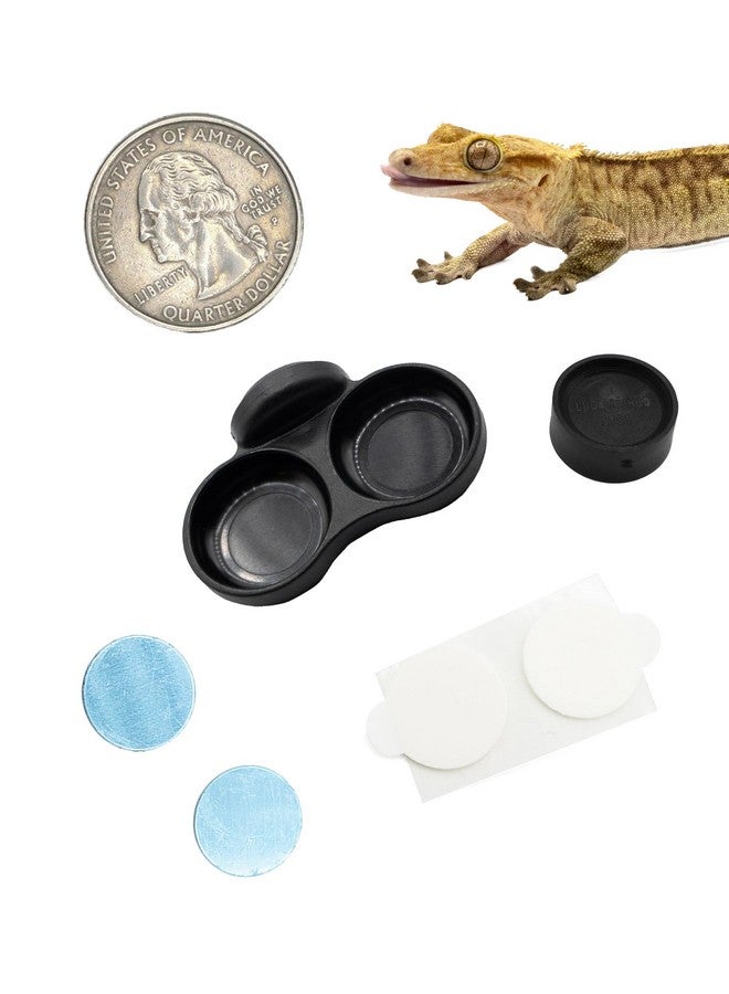 Pangea Pangea Microdish Kit for Micro Gecko Food, Mini Water Bowl for Tiny Reptiles and Other Small Pets, Magnetic Attachment Dots Included 1.25in (XS Dual Surface Mount)  - Image 1