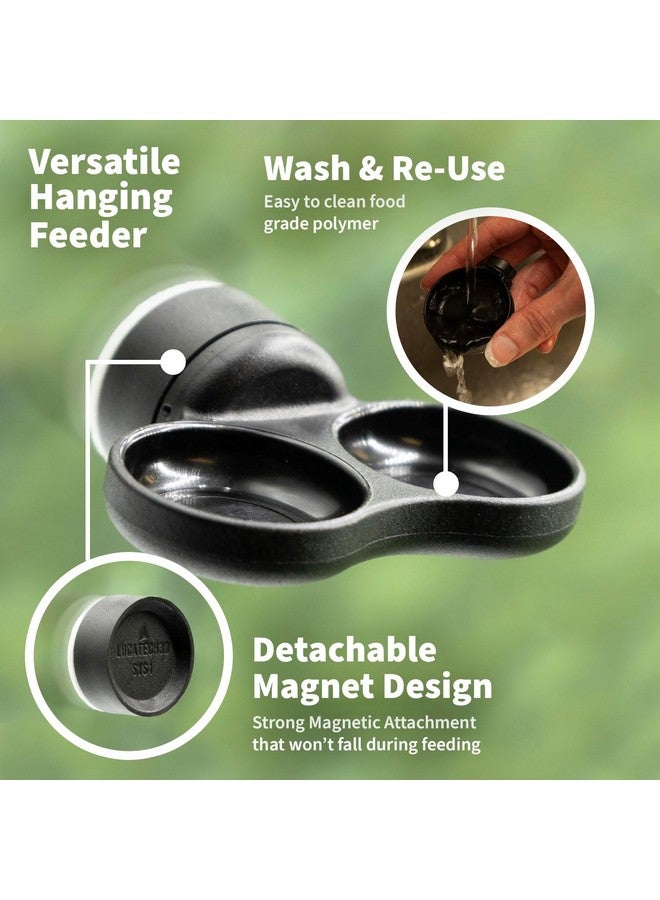 Pangea Pangea Microdish Kit for Micro Gecko Food, Mini Water Bowl for Tiny Reptiles and Other Small Pets, Magnetic Attachment Dots Included 1.25in (XS Dual Surface Mount)  - Image 3