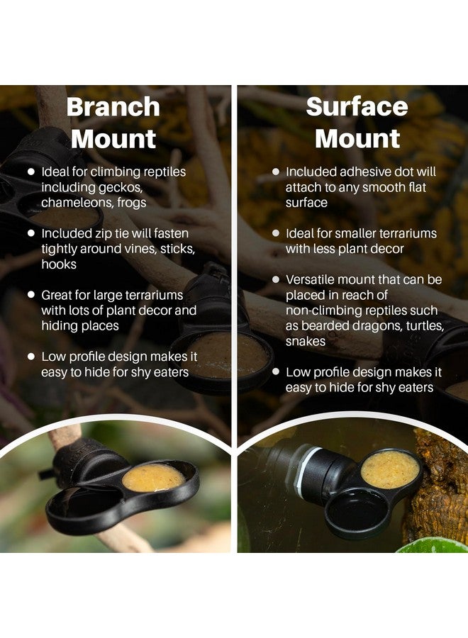 Pangea Pangea Microdish Kit for Micro Gecko Food, Mini Water Bowl for Tiny Reptiles and Other Small Pets, Magnetic Attachment Dots Included 1.25in (XS Dual Surface Mount)  - Image 4