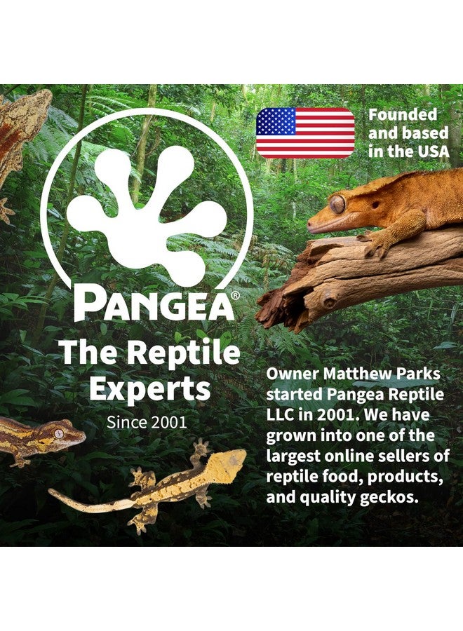 Pangea Pangea Microdish Kit for Micro Gecko Food, Mini Water Bowl for Tiny Reptiles and Other Small Pets, Magnetic Attachment Dots Included 1.25in (XS Dual Surface Mount)  - Image 5