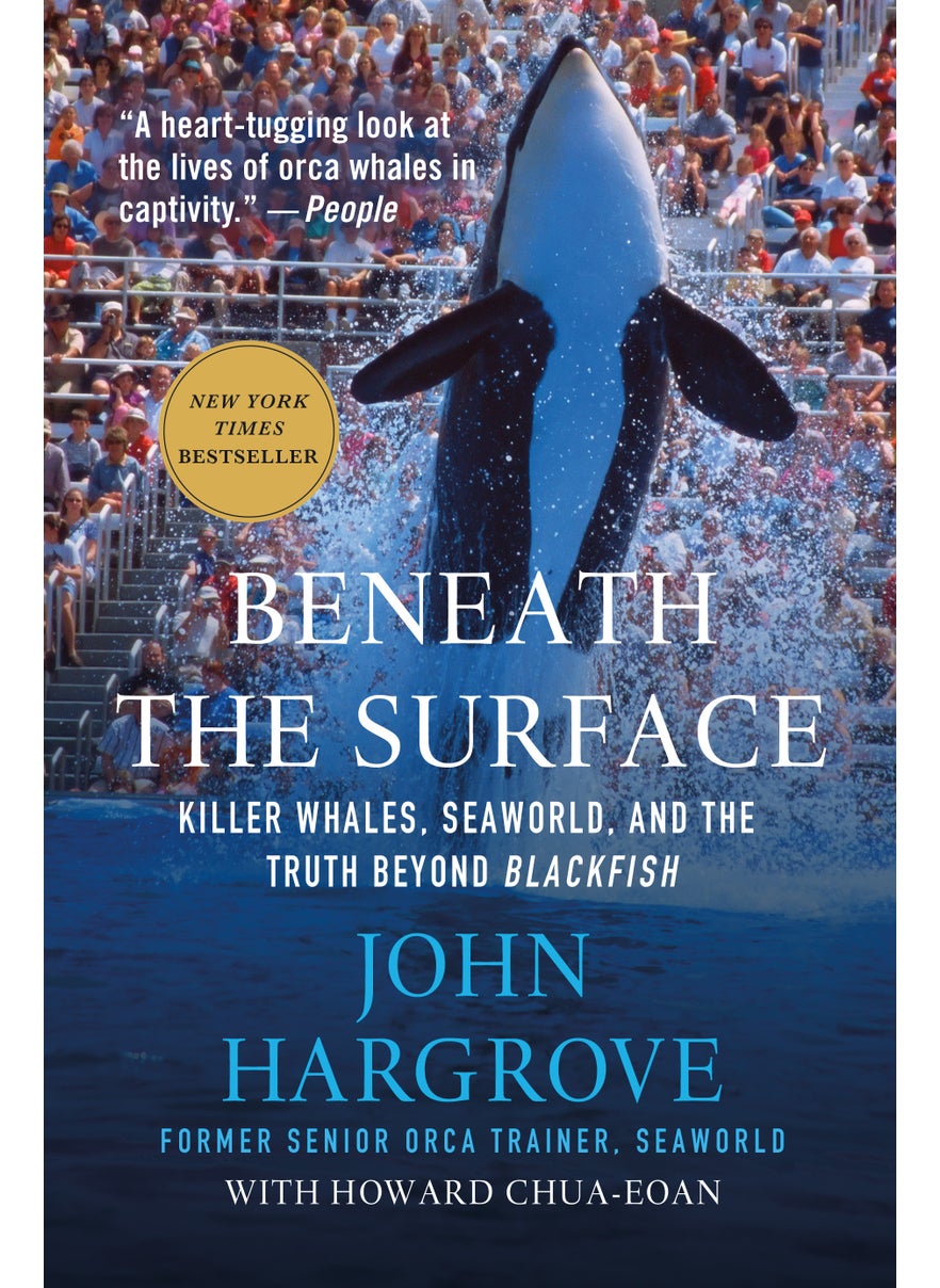 Beneath the Surface