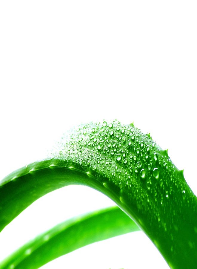 So'Bio Étic So Bio Aloe Vera Hydrating Micellar Water Cleaning 500 Ml, Pack Of 1 - Image 4