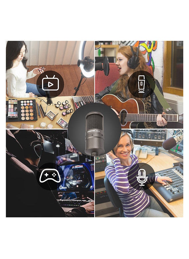 TAKSTAR - SM-8B Side-address Microphone Condenser Mic with Windscreen Mounting Adapter for Recording Broadcasting Live Performance - Image 1
