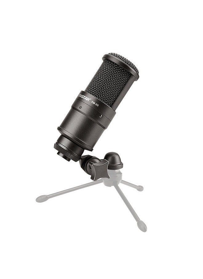 TAKSTAR - SM-8B Side-address Microphone Condenser Mic with Windscreen Mounting Adapter for Recording Broadcasting Live Performance - Image 1