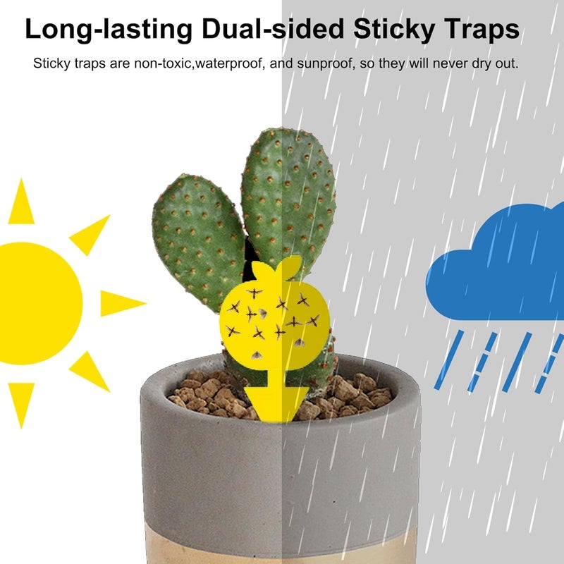 Mosqueda 36PCS Fruit Fly Sticky Traps Fungus Gnat Traps Insect Trap for Plants Kitchen Indoor Outdoor White Flies Mosquitos Fungus Gnats Flying Insects Houseplant Gifts (Apple Shape) - Image 3