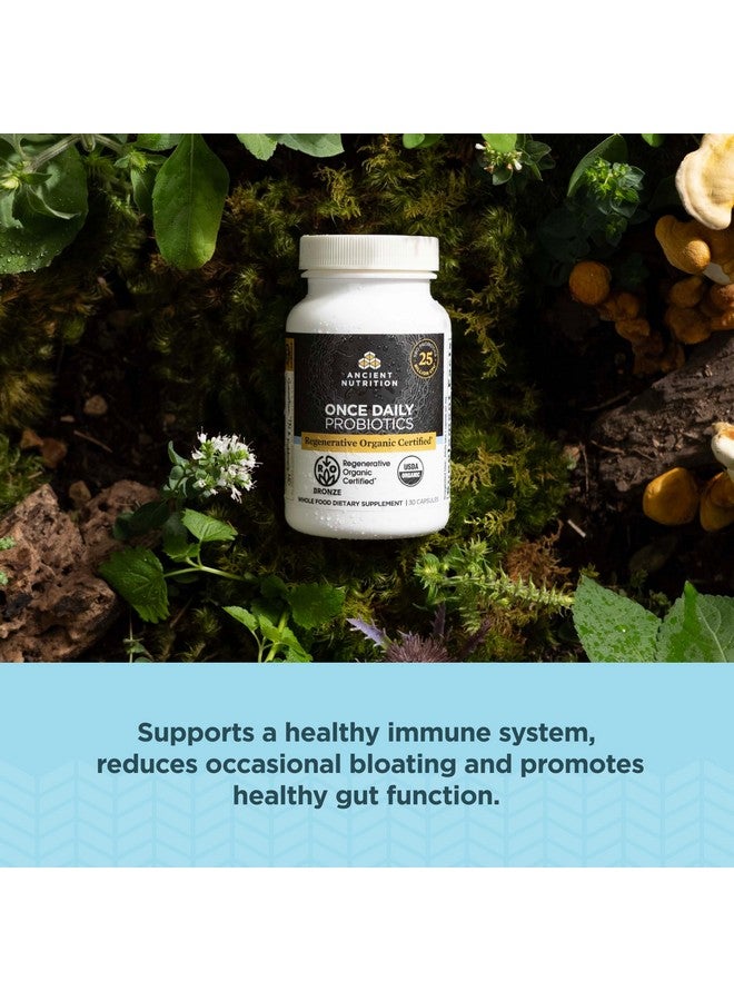 Ancient Nutrition Regenerative Organic Certified Probiotics, Daily Probiotics Once Daily, Healthy Digestion and Immune System Function Support, 25 Billion CFUs* Per Serving, 30 Count - Image 4