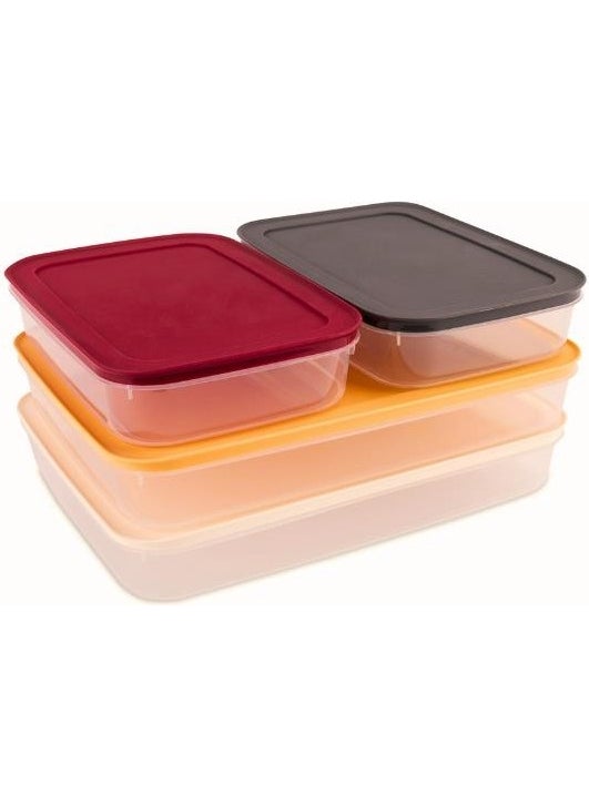 Flora - Refrigerator Icebox Organizer with Lid, Deep Freezer Meat Box Storage Container Set of 4 - Image 1