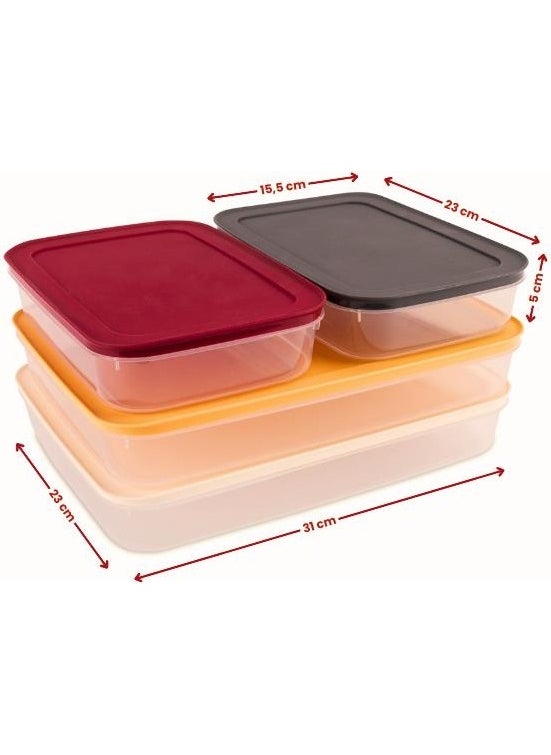 Flora - Refrigerator Icebox Organizer with Lid, Deep Freezer Meat Box Storage Container Set of 4 - Image 1