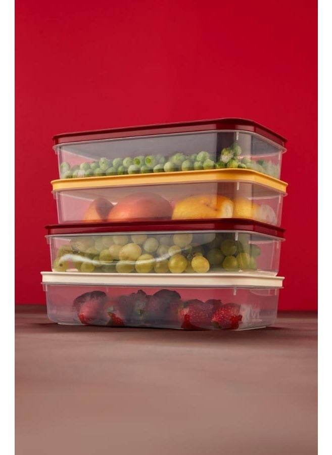 Flora - Refrigerator Icebox Organizer with Lid, Deep Freezer Meat Box Storage Container Set of 4 - Image 1