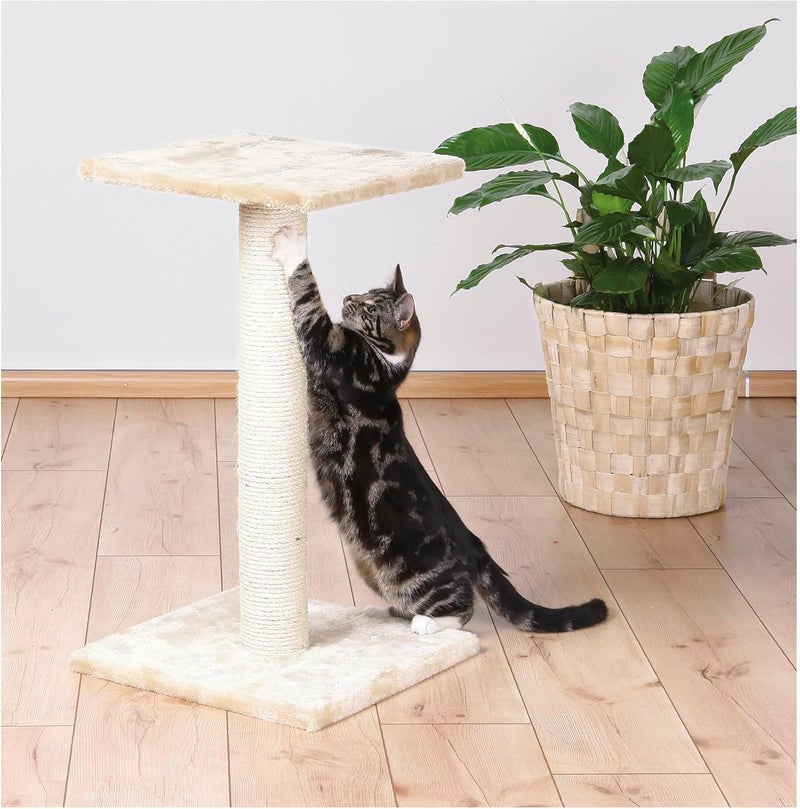 TRIXIE Pet Products Espejo Scratching Post Gray Medium 16 x 16 x 27 in 43341 - Image 2