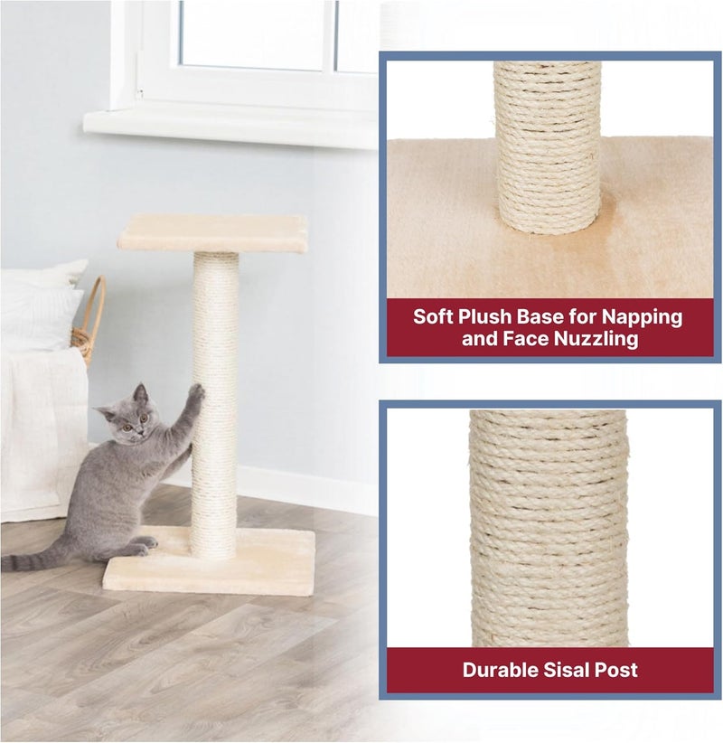 TRIXIE Pet Products Espejo Scratching Post Gray Medium 16 x 16 x 27 in 43341 - Image 5