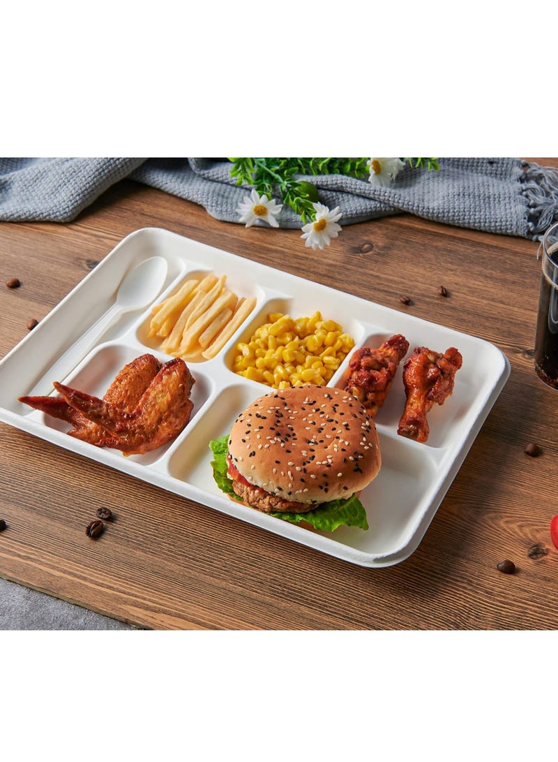 KASTWAVE 50 حزمة أطباق 100% قابلة للتحلل 6 قسم، أطباق ورقية قوية قابلة للاستخدام لمرة واحدة، أطباق ورقية مقسمة، صواني غداء مدرسية قابلة للاستخدام لمرة واحدة 12*8 بوصة، أطباق باجاس صديقة للبيئة لغداء المدرسة، بوفيه - Image 2