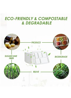 KASTWAVE 50 Pack 100% Compostable 6 Compartment Plates, Heavy-Duty Disposable Paper Plate, Compartment Paper Plate, 12*8 inch Disposable School Lunch Trays, Eco-Friendly Bagasse Plates for School Lunch, Buffet  - Image 3