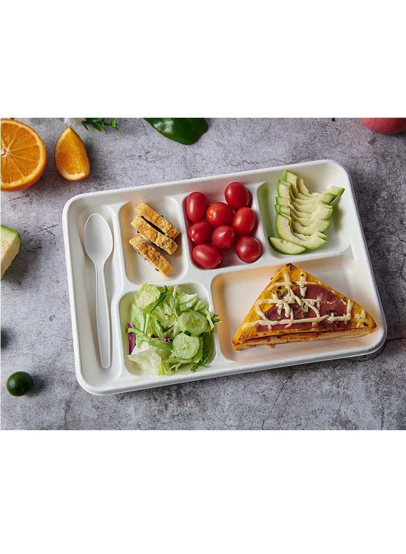 KASTWAVE 50 حزمة أطباق 100% قابلة للتحلل 6 قسم، أطباق ورقية قوية قابلة للاستخدام لمرة واحدة، أطباق ورقية مقسمة، صواني غداء مدرسية قابلة للاستخدام لمرة واحدة 12*8 بوصة، أطباق باجاس صديقة للبيئة لغداء المدرسة، بوفيه - Image 5
