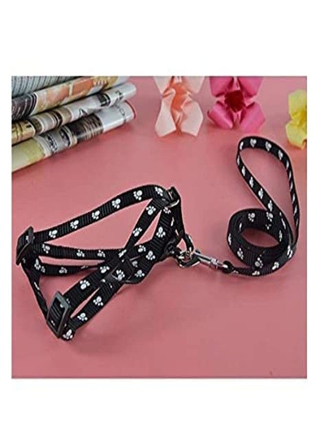 LxPets Nylon Adjustable Leash with Harness Set Printed Nylon Puppy Harness for Small & Medium Dogs Colour May Vary (0.75-inch) 3pcs Set Multicolore - Image 3