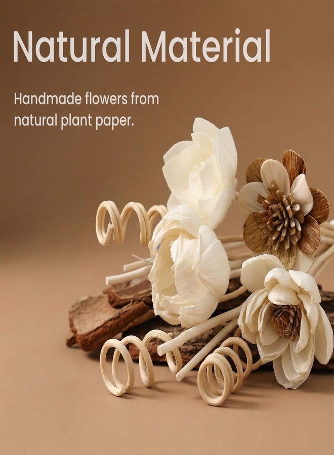 MAOBUYOU Reed Diffuser Sticks Set of 12, Natural Paper Material, Flower Diffusers for Home Bathroom and Bedroom Decor - Image 5