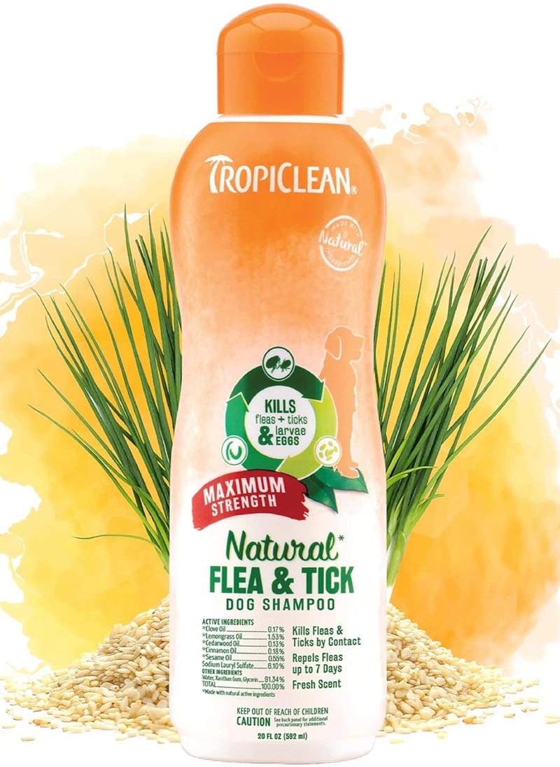 TropiClean TropiClean Maximum Strength Natural Flea and Tick Dog Shampoo for Flea and Tick Prevention for Dogs | Made in the USA | 20 oz  - Image 1