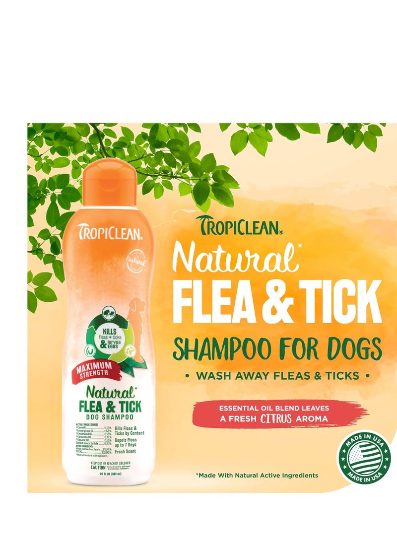 TropiClean TropiClean Maximum Strength Natural Flea and Tick Dog Shampoo for Flea and Tick Prevention for Dogs | Made in the USA | 20 oz  - Image 3