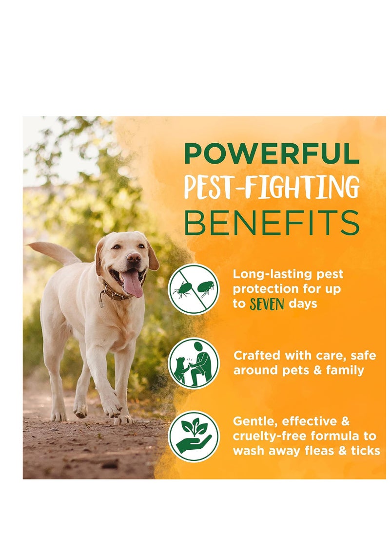 TropiClean TropiClean Maximum Strength Natural Flea and Tick Dog Shampoo for Flea and Tick Prevention for Dogs | Made in the USA | 20 oz  - Image 5