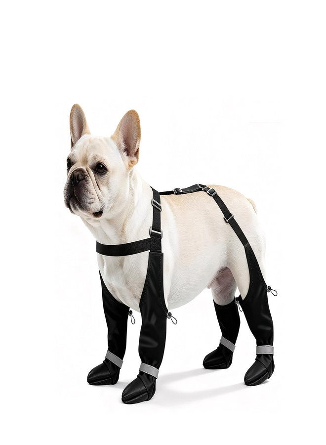BillionChains Dog Boots with Adjustable Suspender, Anti-Slip Dog Shoes, Waterproof Paw Protector for Rainy, Snowy, Hot Pavement, M - Image 1