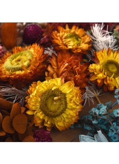SUPVOX Supvox® DIY Resin Art Decor Natural Dried Flower Set for Resin Art Scented Candle Decor Photo Frame Ornament Room Decoration(Orange)  - Image 2
