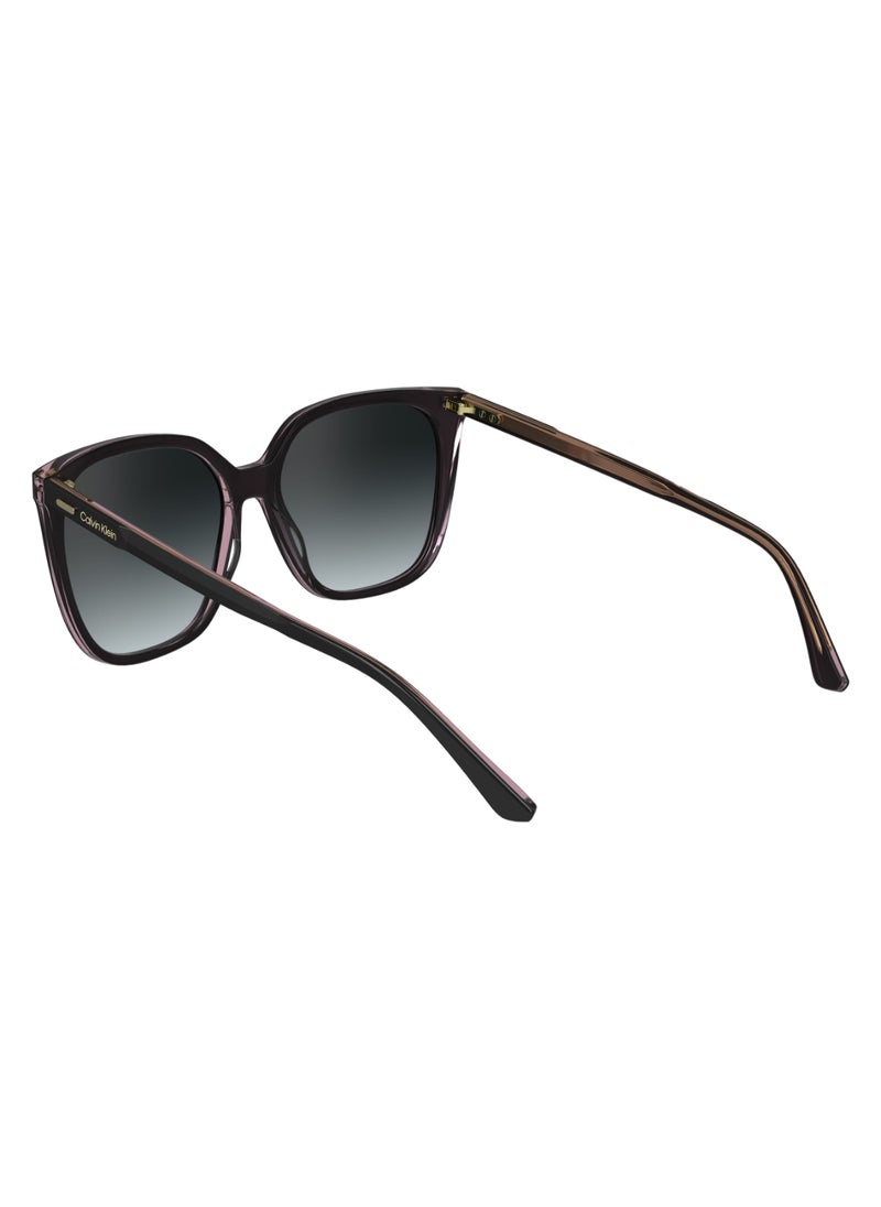 CALVIN KLEIN FULL RIM ACETATE MODIFIED RECTANGLE CALVIN KLEIN SUN CK24509S  5616 (012) BLACK/PINK  - Image 5