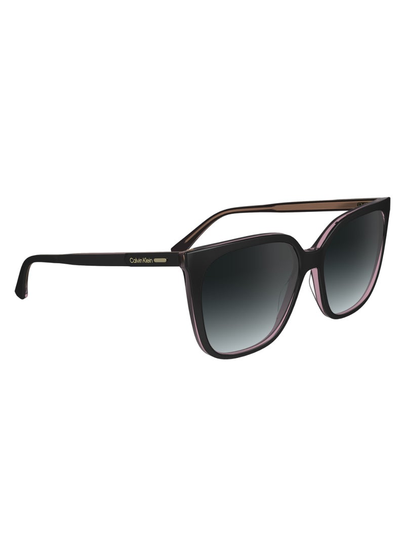 CALVIN KLEIN FULL RIM ACETATE MODIFIED RECTANGLE CALVIN KLEIN SUN CK24509S  5616 (012) BLACK/PINK  - Image 3