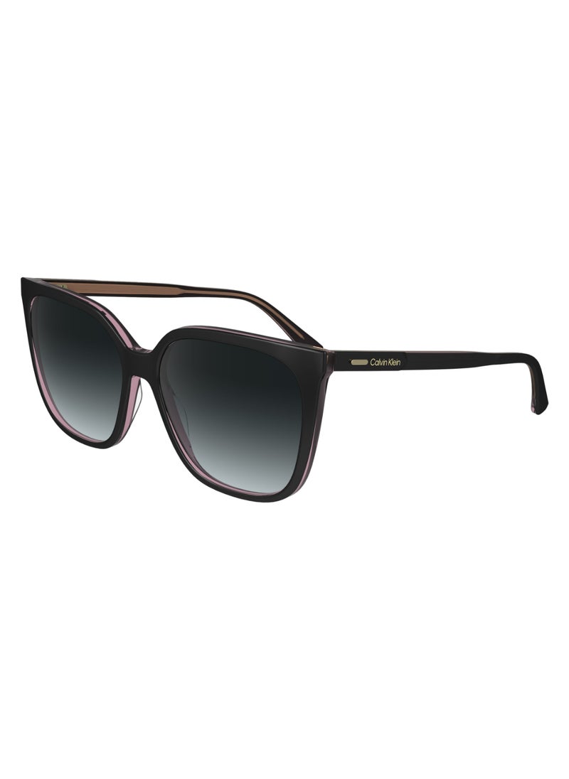 CALVIN KLEIN FULL RIM ACETATE MODIFIED RECTANGLE CALVIN KLEIN SUN CK24509S  5616 (012) BLACK/PINK  - Image 2
