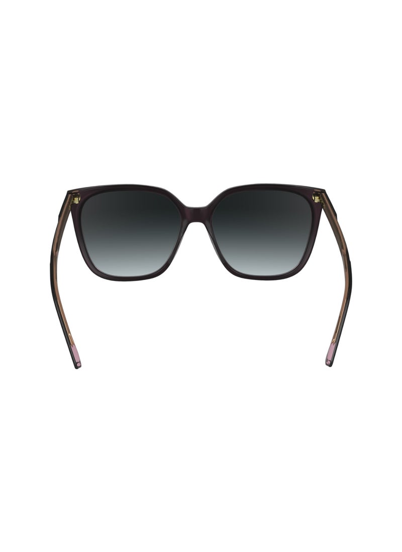 FULL RIM ACETATE MODIFIED RECTANGLE CALVIN KLEIN SUN CK24509S  5616 (012) BLACK/PINK