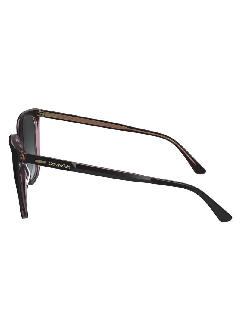 CALVIN KLEIN FULL RIM ACETATE MODIFIED RECTANGLE CALVIN KLEIN SUN CK24509S  5616 (012) BLACK/PINK  - Image 4