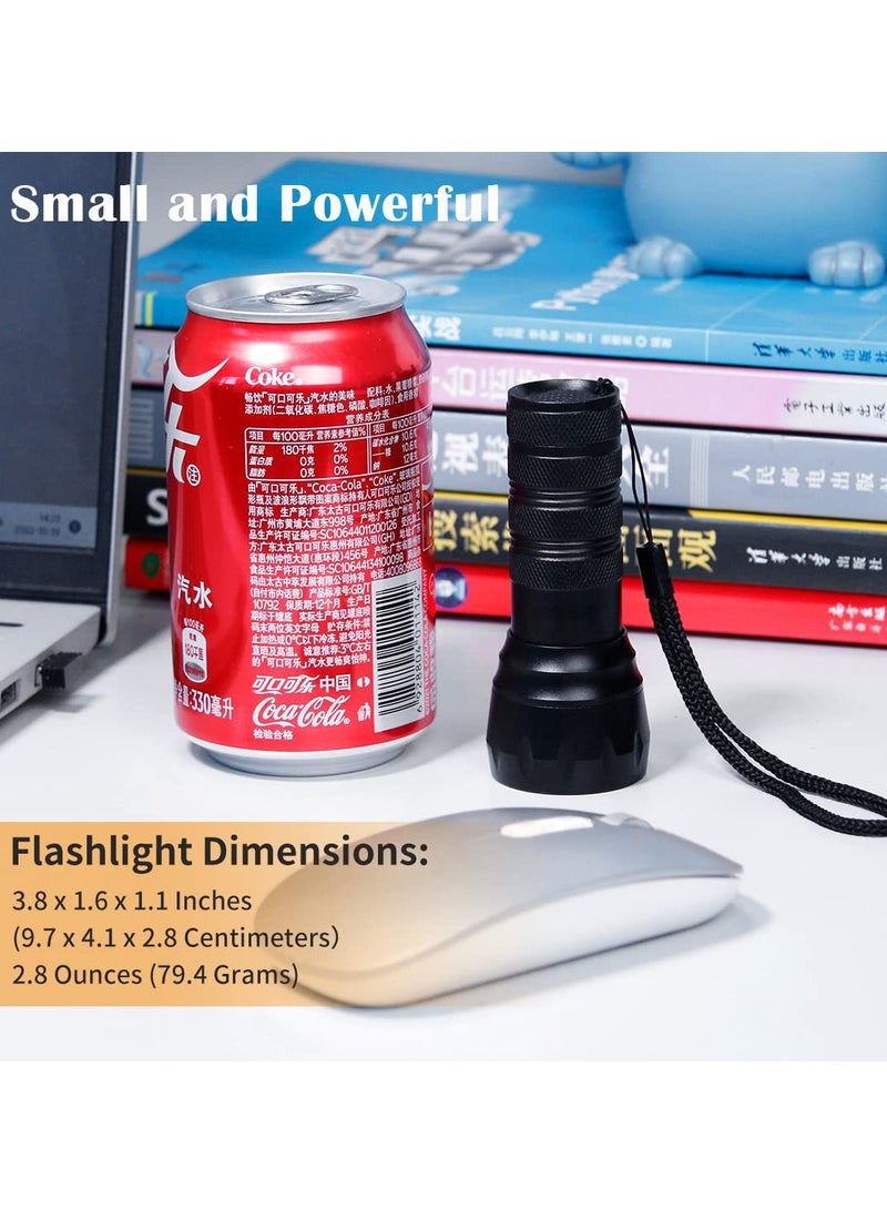 Blacklight UV Flashlight, 21 LED, 395nm, Portable Black Light for Pet Urine Detection, Scorpion, Resin Curing, Bed Bug Detection, Nail Art - Image 3
