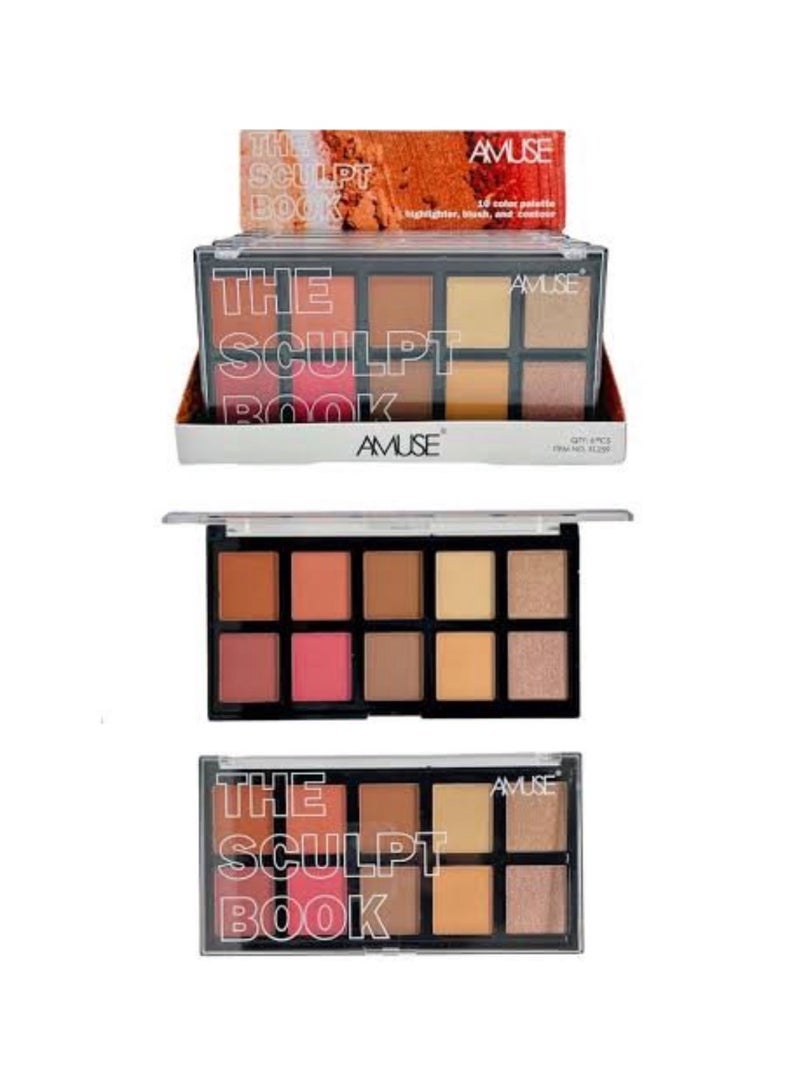 اميوز اميوس بروفيشنال سكلبت بوك - Image 1