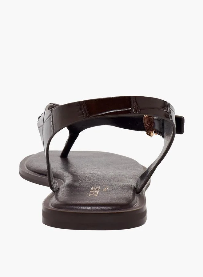 Celeste BROWN Women Textured Buckle Strap Sandals for Women | Best Price UAE