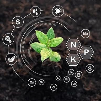 Generic SKGs Store Organic Vermicompost Fertilizer Manure For Plants and Home Agriculture Farming Greenhouse Gardening 1  - Image 2
