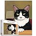 Tucocoo Black and White Cat Drinking Wine Puzzles for Adults 1000 PiecesRed Wine Glass Jigsaw Puzzle 20x27 Inches Colorful Kitten Puzzles Family Puzzle Perfect for Game Nights Home Wall Decor - Image 2