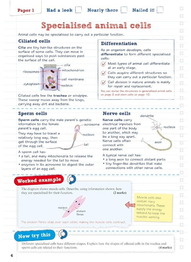 null - Pearson REVISE AQA GCSE (9-1) Biology Foundation Revision Guide: For 2024 and 2025 assessments and exams - incl. free online edition - Image 1