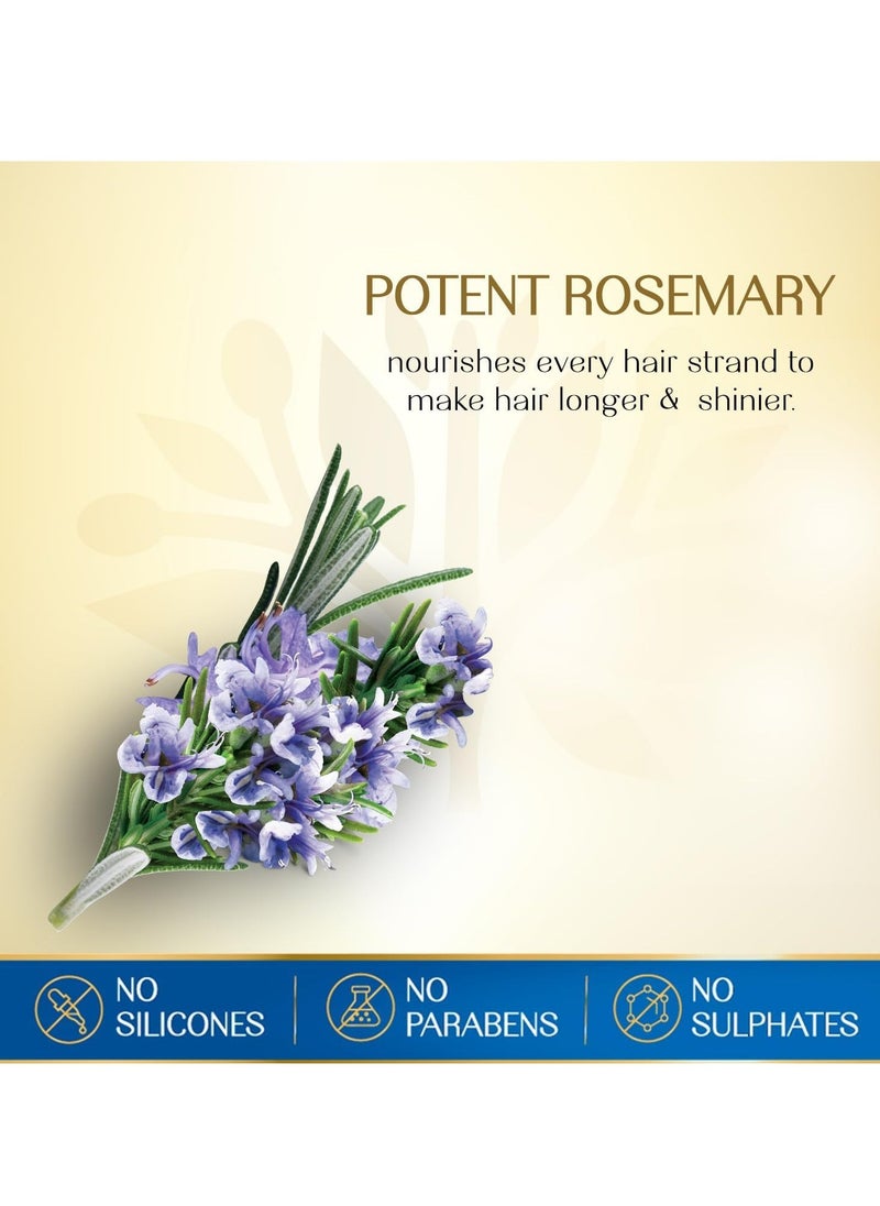 Herbsindia - Rosemary and 7 Seeds Hair Oil 280 ml - Image 1