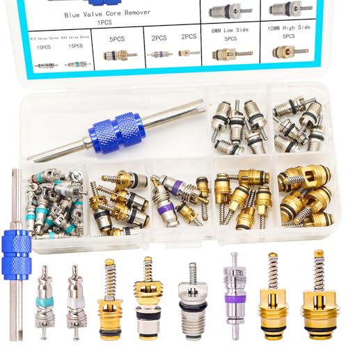 TWTADE 60PCS Car Air Conditioner Valve Core Accessories with Remover Tool Assortment Kit R12 R134a Refrigeration Tire Valve Stem Cores Repair Kit H-021-R12 - Image 1