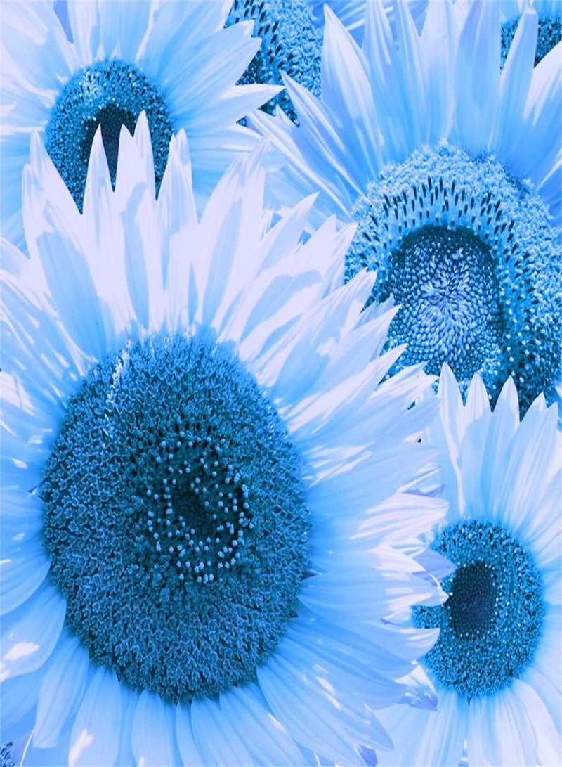 GGOOT Imported Sunflower Seeds Kit for Garden Planting UK Flower Seeds Variety Pack The World Attracts Attention-100 PCS - Image 2