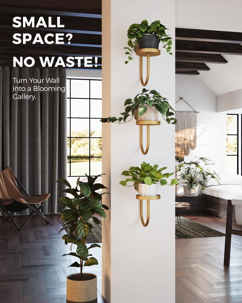 Bamworld Wall Plant Holder Wall Planters for Indoor Plants Plant Hanger Indoor Window Plant Shelves Hanging Plant Holder Window Plant Hanger Plant Decor Golden 3pcs - Image 4