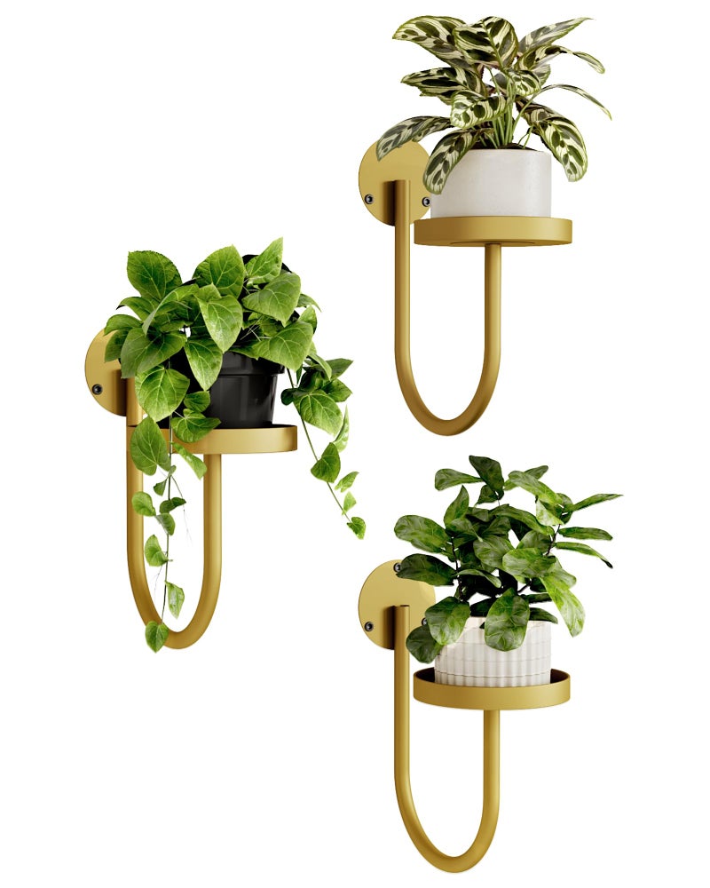 Bamworld Wall Plant Holder Wall Planters for Indoor Plants Plant Hanger Indoor Window Plant Shelves Hanging Plant Holder Window Plant Hanger Plant Decor Golden 3pcs - Image 1