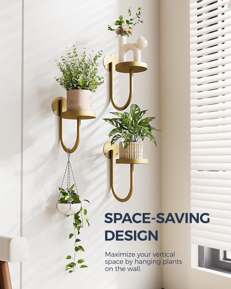 Bamworld Wall Plant Holder Wall Planters for Indoor Plants Plant Hanger Indoor Window Plant Shelves Hanging Plant Holder Window Plant Hanger Plant Decor Golden 3pcs - Image 2